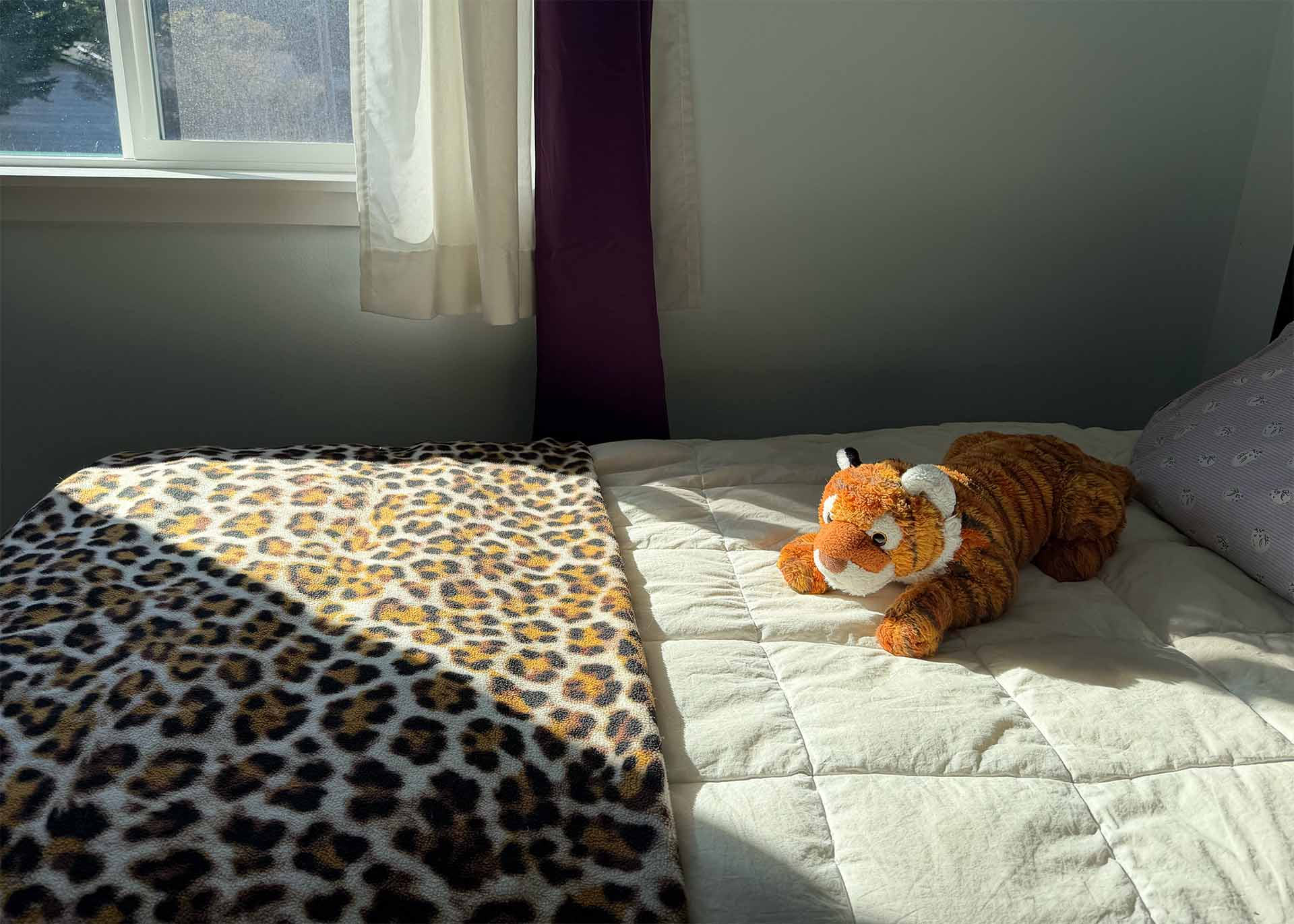 A tiger stuffie rests on a bed at 2610 Sheridan